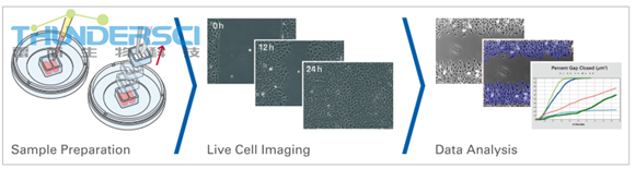 QQ&aring;?&frac34;&ccedil;??20190318144718 &auml;&frac14;&curren;&aring;?&pound;&aelig;??&aring;??&aring;&reg;?&eacute;&ordf;?&aelig;&micro;?&ccedil;&uml;?&aring;?&frac34;.png