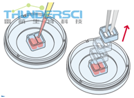 QQ&aring;?&frac34;&ccedil;??20190318144738 1&aelig;&nbsp;&middot;&aelig;?&not;&aring;?&para;&aring;&curren;?.png